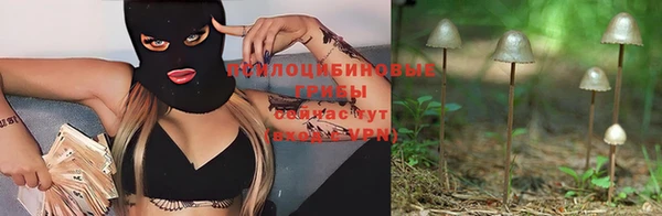 кристаллы Горняк