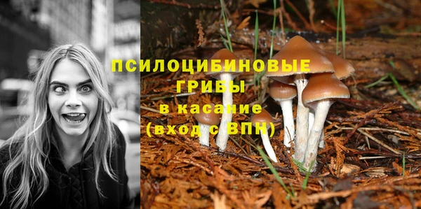 jwh Горнозаводск