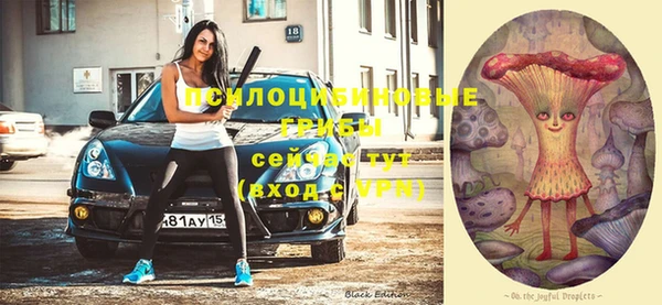 COCAINE Вяземский