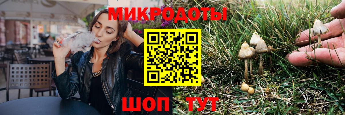 Галлюциногенные грибы Cubensis  Гусь-Хрустальный 