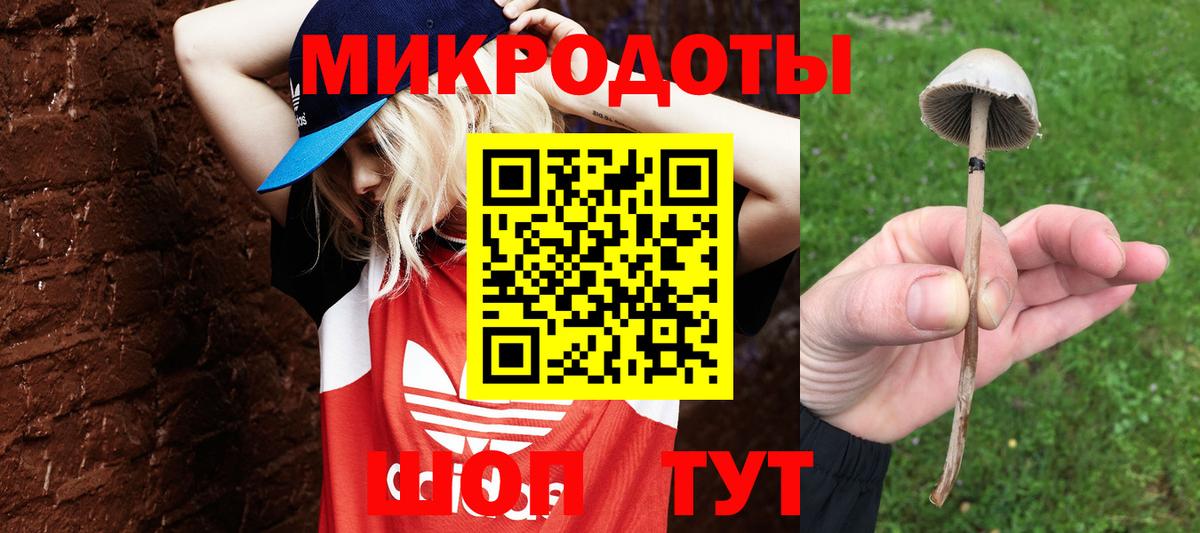 Псилоцибиновые грибы GOLDEN TEACHER Гусь-Хрустальный