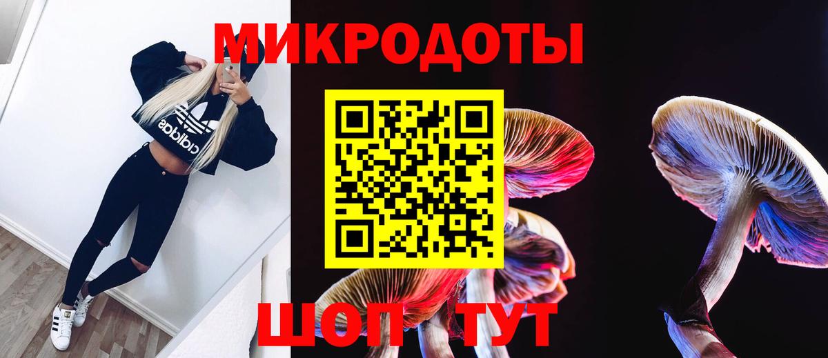 Галлюциногенные грибы прущие грибы Гусь-Хрустальный